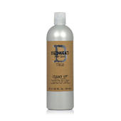 Bed Head For Men Clean Up