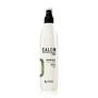 Salon Form Stabilizing Spray