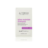 Silver Maintain