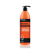 Prosalon Amino Acids & Niacynamide Color Protect