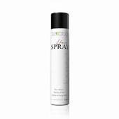 Expert Hair Spray