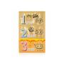 Pig-Clear Honey Gold 3-Step Kit