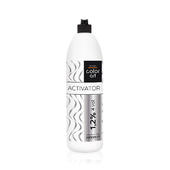 Prosalon Intensis Color Art 1,2%