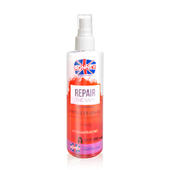 Repair Therapy